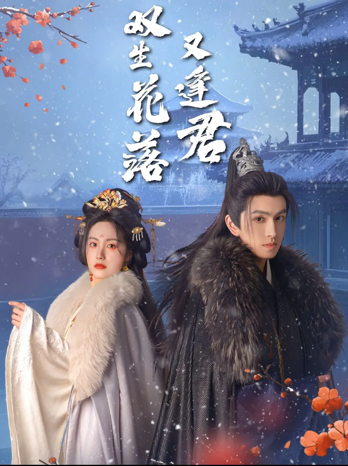 《双生花落又逢君》：虐恋情深？还是命运捉弄？深度解析古装剧中的爱恨纠葛与宿命轮回！