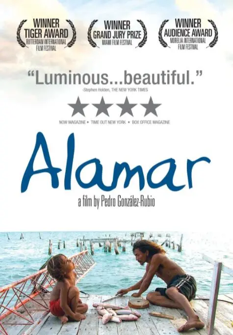 《拥抱大海》：一场触及灵魂的海洋之旅，探索生命的意义与自然的奇迹！