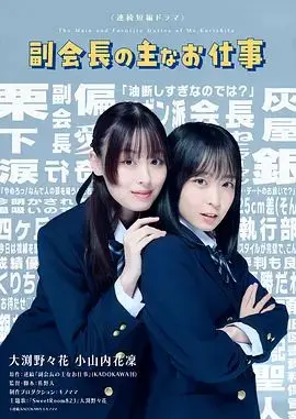 《副会长的主要工作》：职场爱情轻喜剧，看高冷副会长如何攻略傲娇女秘书！